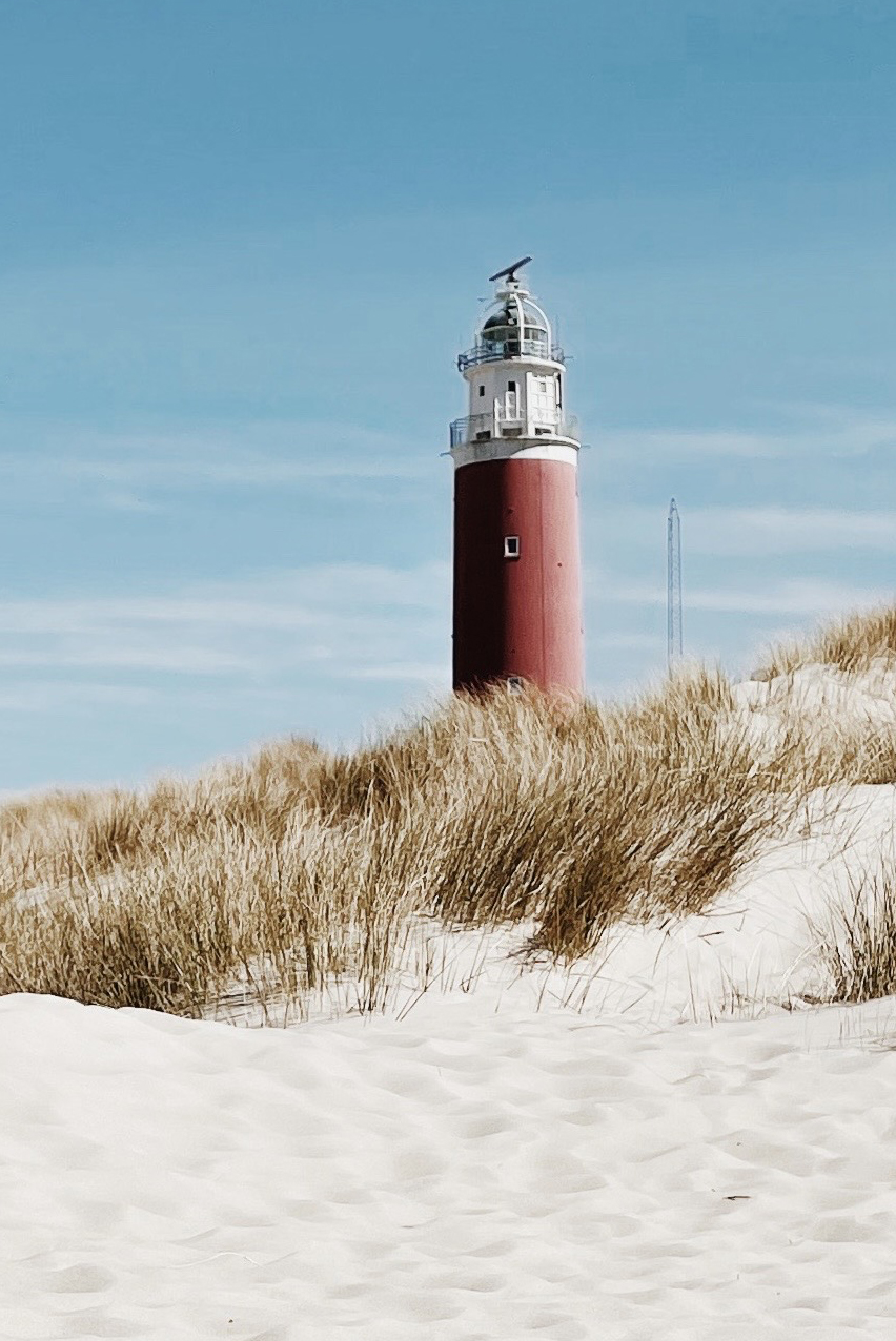 Bekijk met Taxi Ruud het hele eiland Texel