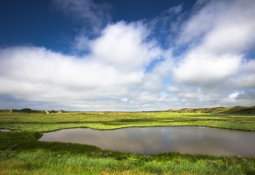 De Slufter, een uniek natuurgebied op Texel