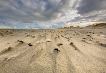 Lekker uitwaaien op het Texelse strand