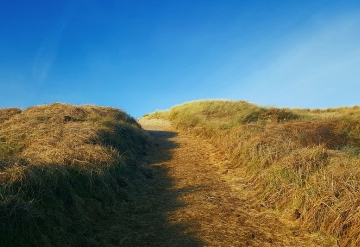 Wandelingen georganiseerd door Gezond Natuur Wandelen